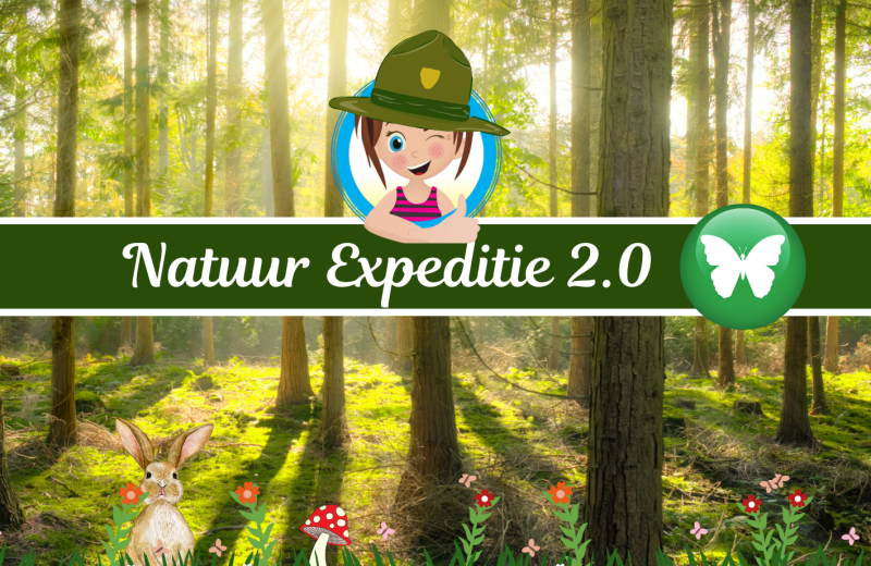 De Verborgen Sporen van Hitjesvijver